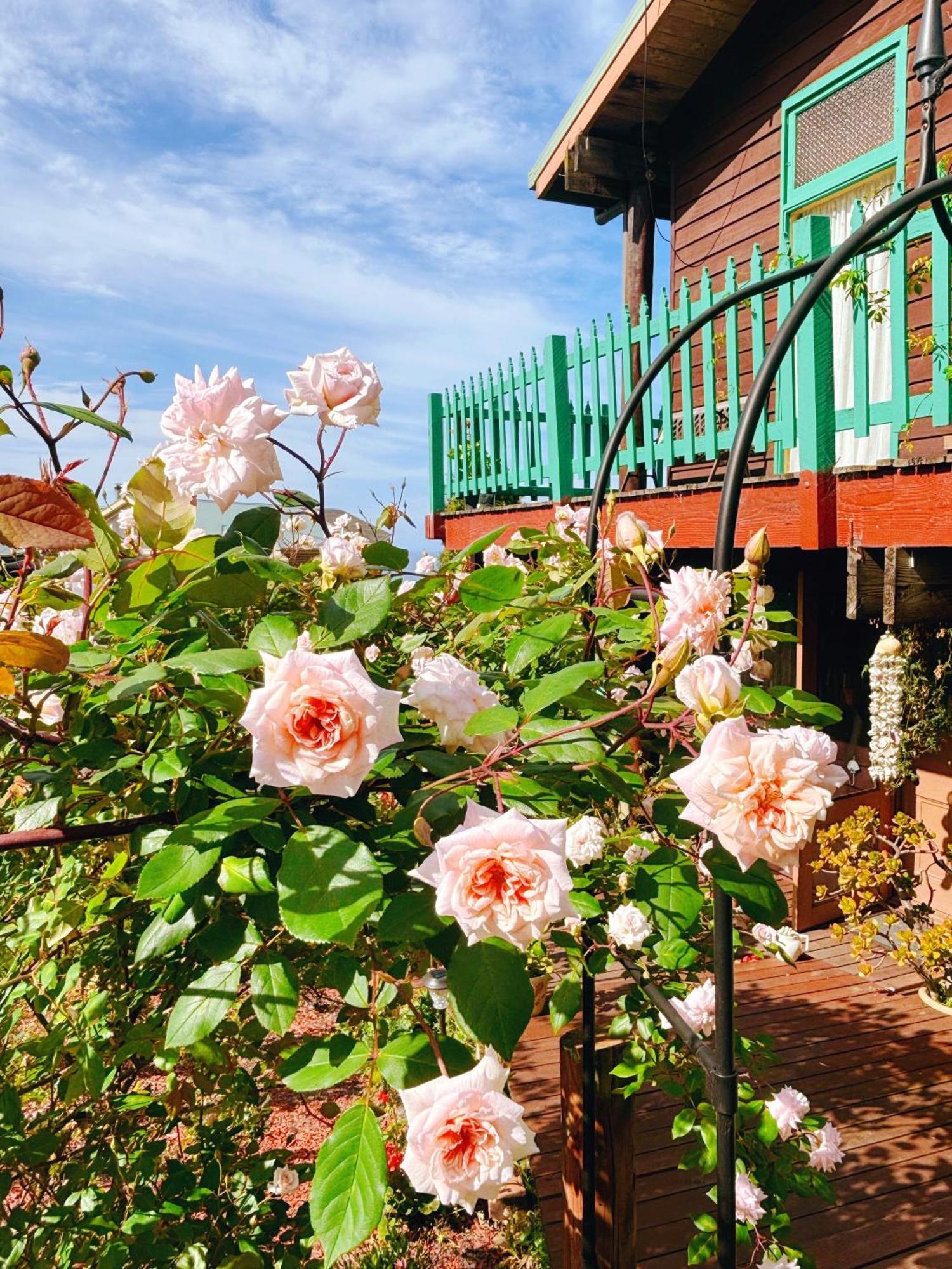 The Goat And Goose Bed & Breakfast Lakes Entrance Exteriér fotografie